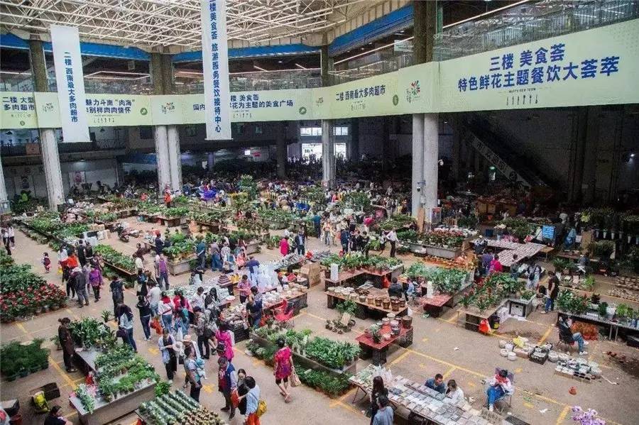 一生只爱一个人一世只为一个魂,一生只爱一个人一世只为一段情