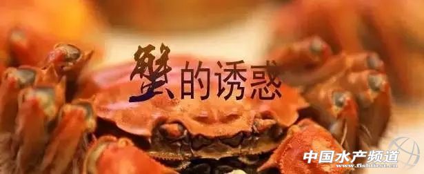 阳澄湖大闸蟹市场螃蟹价格,阳澄湖大闸蟹开捕时间2020价格