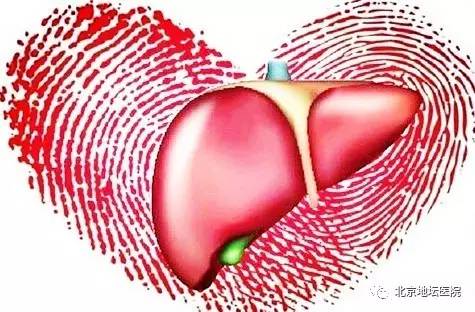 肝病门诊的诊疗范围,肝病专科门诊