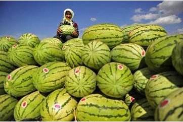 宁夏必买的十大名牌,g20杭州峰会国宴菜解密