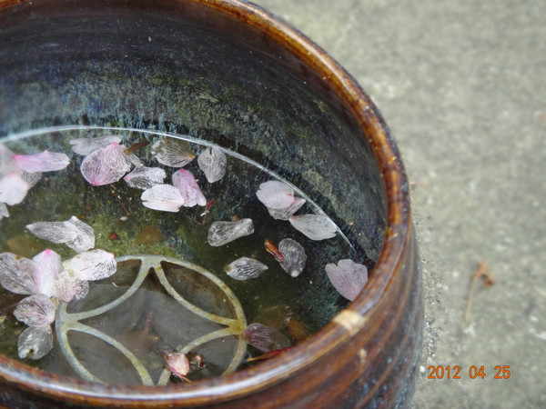 日本7天自由行跟团,日本7天自由行大约需要多少钱