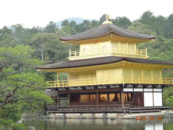 日本7天自由行跟团,日本7天自由行大约需要多少钱