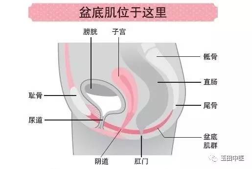 玉田县中医院康复科视频,玉田县中医院中医门诊电话