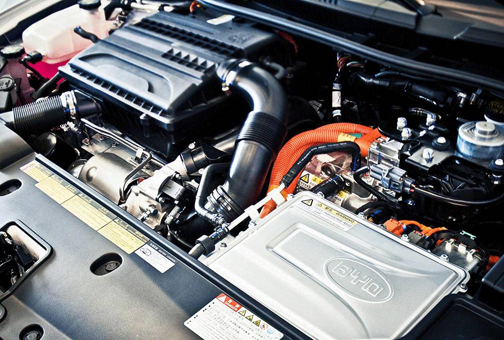 免费的午餐好吃吗,免费的午餐便宜吗