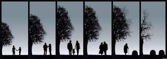 36个问题能让人坠入爱情,三十六个问题让对方爱上你