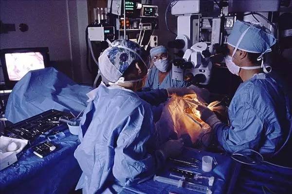 哈尔滨今天有什么免费的东西,哈尔滨哪些免费的地方