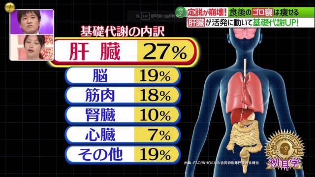 魔都145年来最热夏天都没带走你的肥肉，原因居然是用！错！方！法！