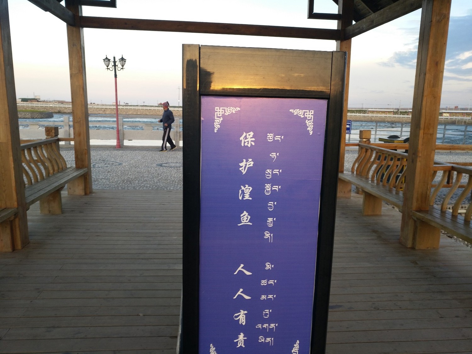 青海湟鱼家园,青海的湟鱼家园