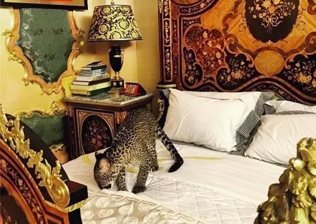 麻雀变成凤凰的人生,麻雀变凤凰普通版