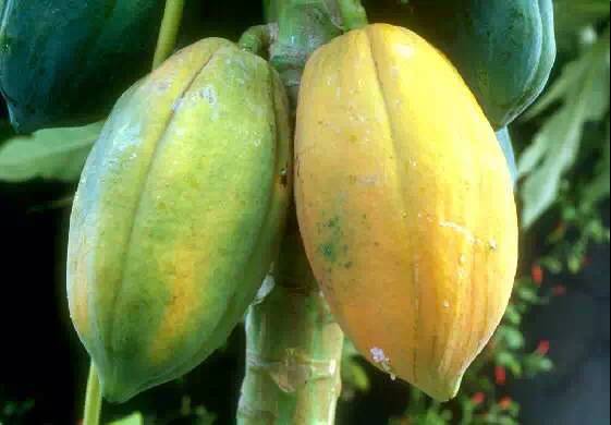 美丽的河口一日游,秋色正好邂逅大美河口