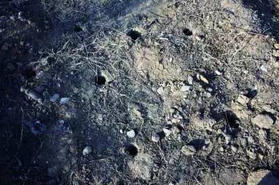 青海大师纯手绘唐卡,唐卡画师精心创作的高端唐卡