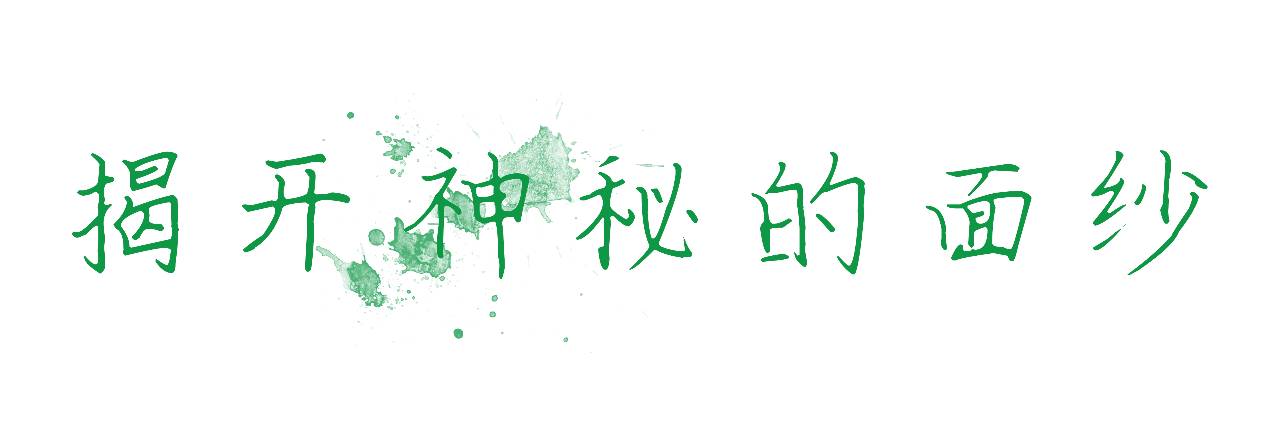 水果茶网红杯一次性,500g网红水果茶