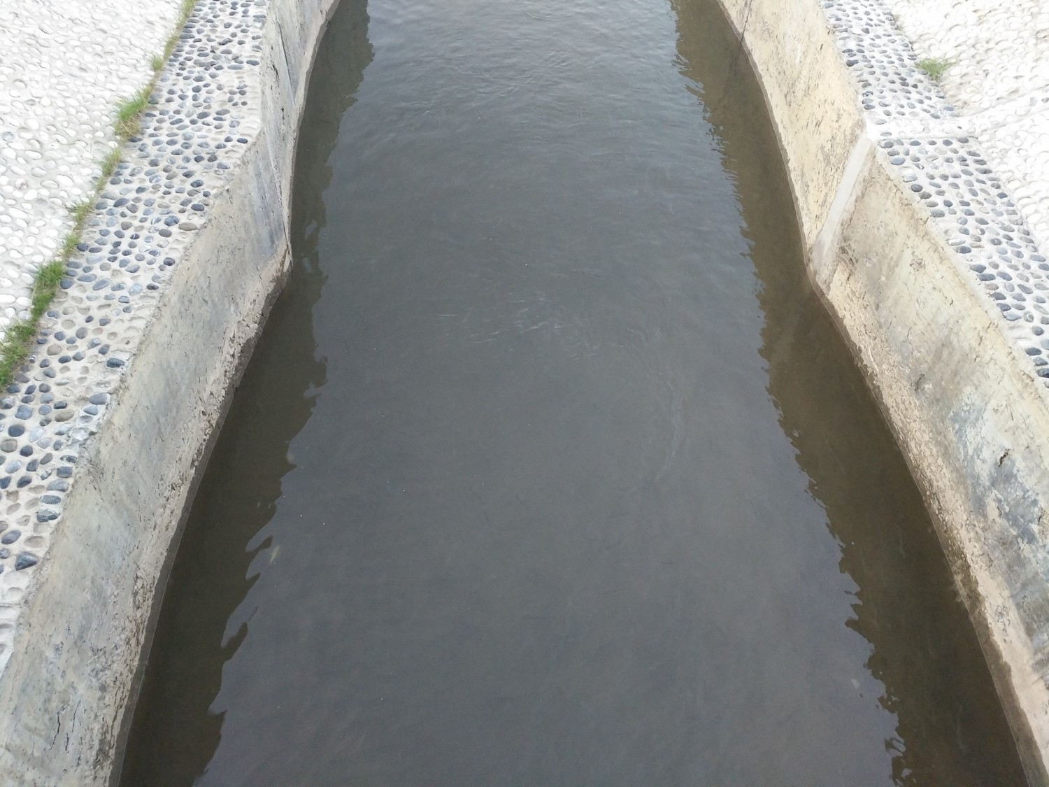 青海湟鱼家园,青海的湟鱼家园