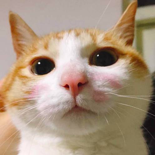 好物节年中大促,好东西优惠大促