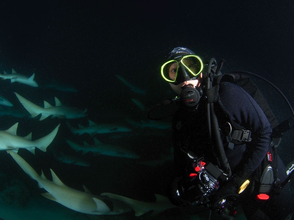 从入门级到朝圣级，职业潜水教练告诉你船宿该怎么选