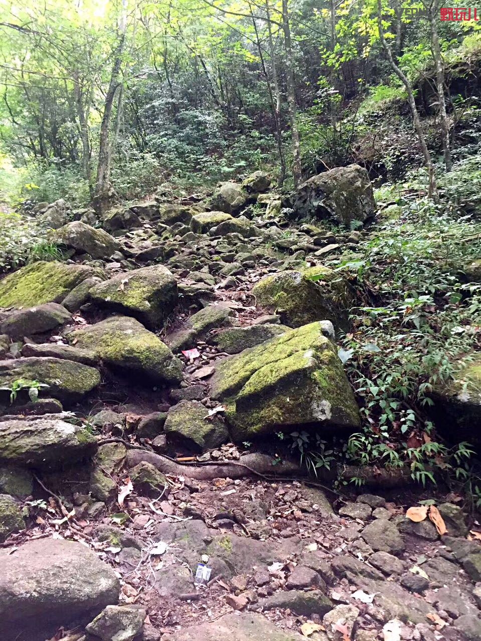 hydrapak保温杯,户外折叠水壶推荐