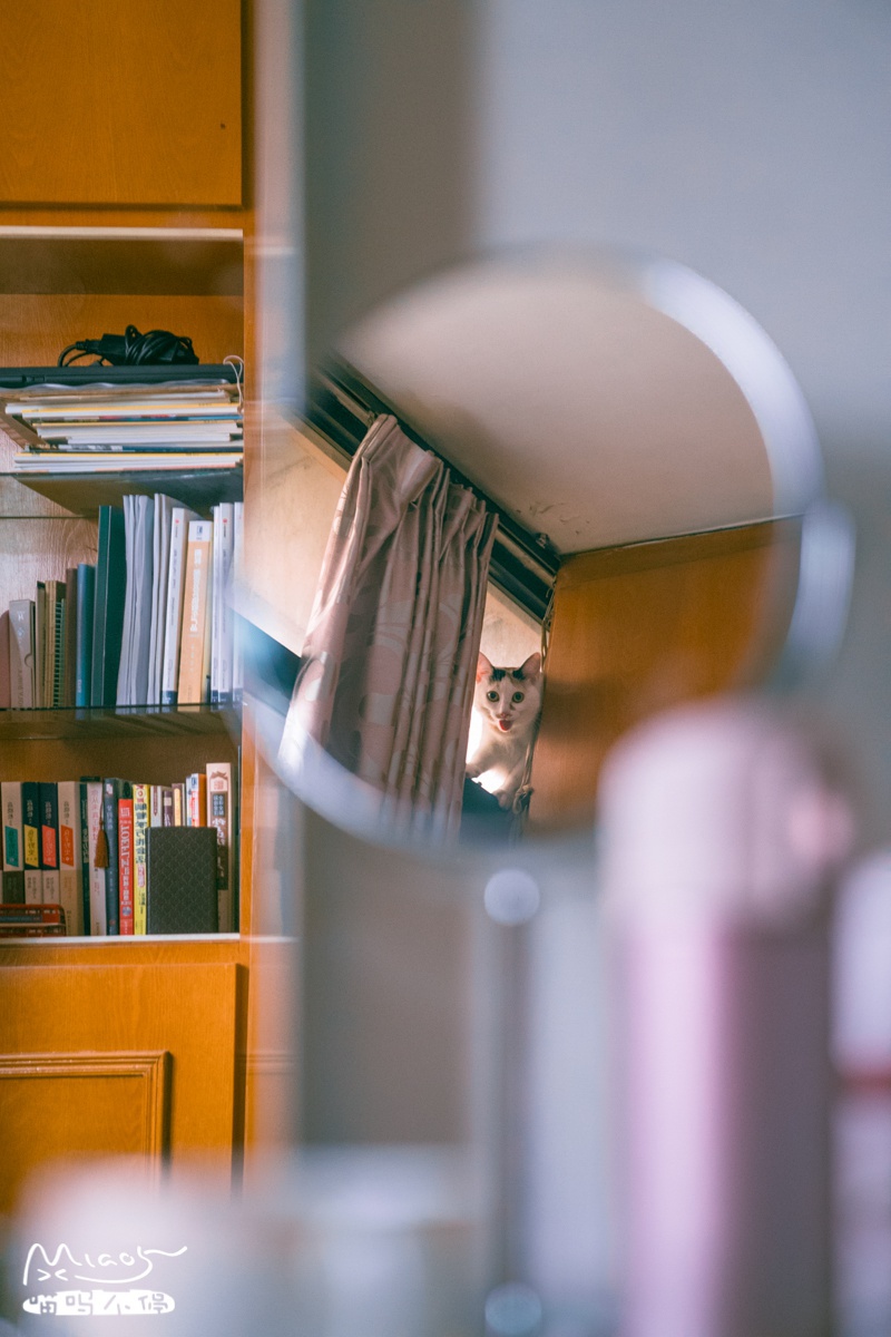 豆瓣日记10月,豆瓣日记