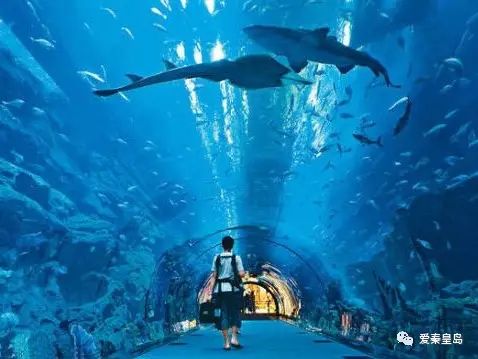 秦皇岛旅游必去的地方推荐三日游,秦皇岛5.1游玩好去处