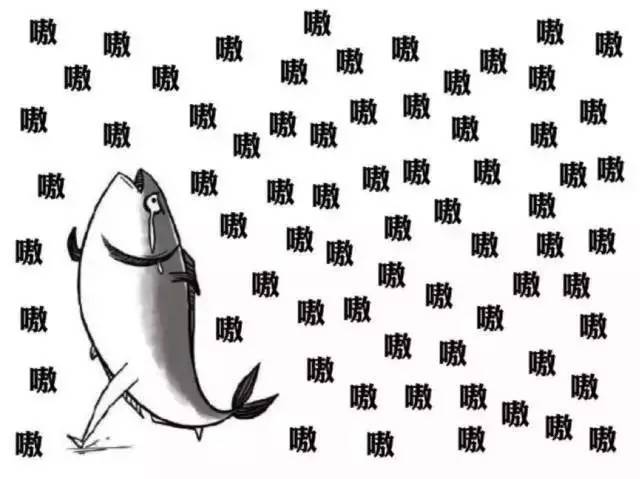 北大女生求职悲欢,北大女生上班一个月辞职