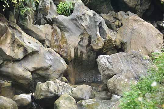 美丽的河口一日游,秋色正好邂逅大美河口