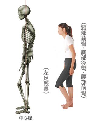 第917期｜骨架与平衡！人体架子是练好太极拳的大问题（推荐阅读）