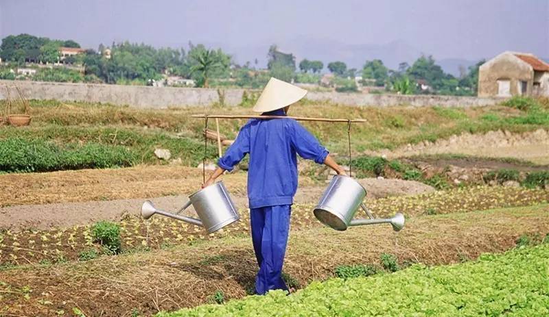 大局已定还要继续努力吗,大局已定扭转乾坤