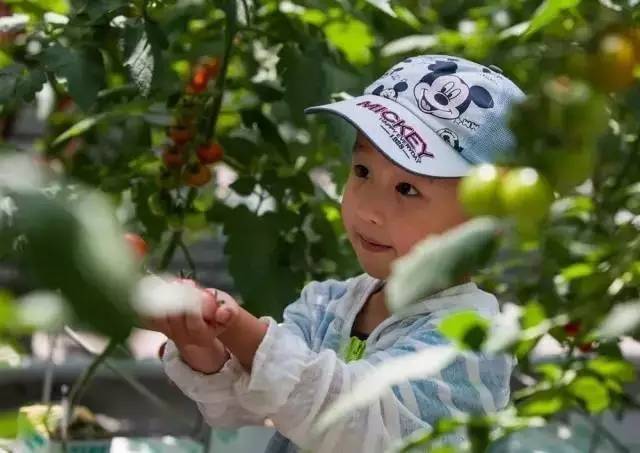 莱西：别样“慢城”