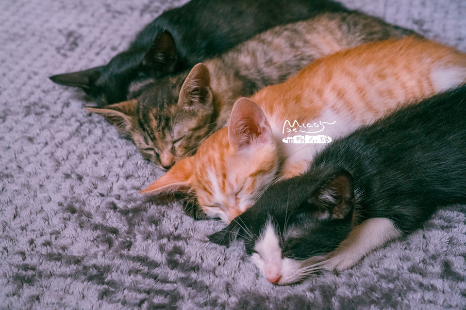 豆瓣日记10月,豆瓣日记