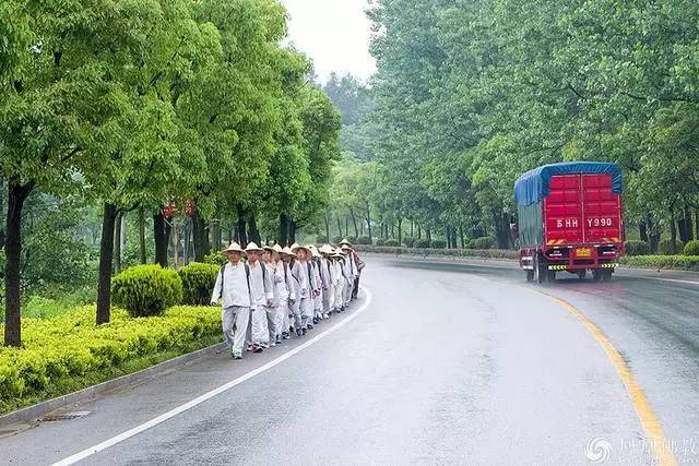 徒步登九华山,九华山徒步朝拜攻略视频