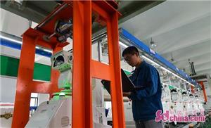 鲁能智能技术,鲁能集团三年规划