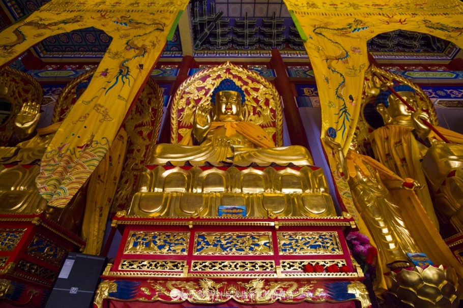 镜泊湖火山口免费景点,镜泊湖火山口森林景区