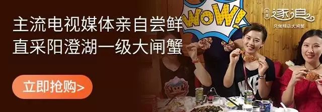 深圳市深汕特别合作区最新设计图,深汕合作区未来核心区域