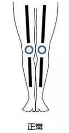 男士腿不直适合穿什么样的裤子,大腿粗腿短的女生适合什么裤子