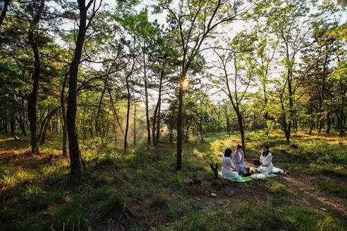 莱西：别样“慢城”