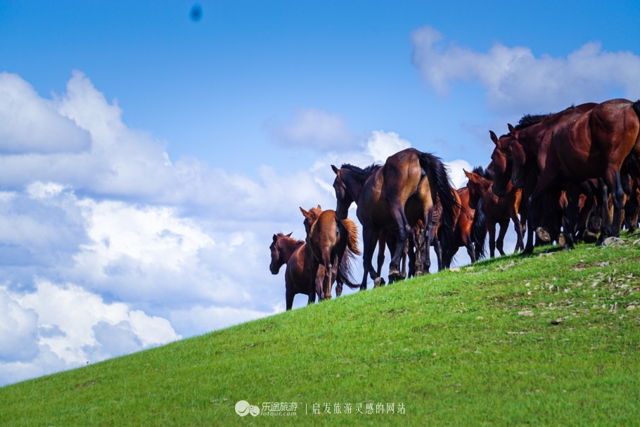现代中国赤兔马,当代赤兔马