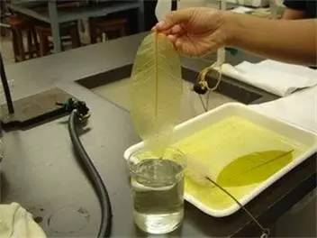 春夏秋冬自制的书签,秋天书签diy