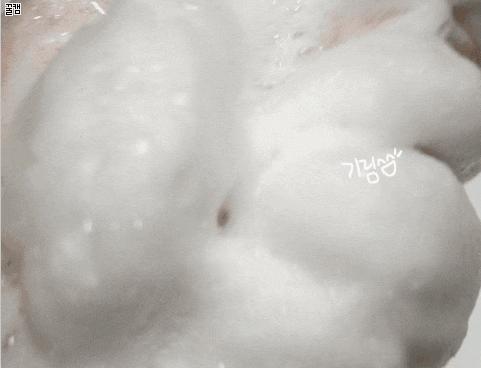 洗面奶国货什么牌子最好用,亲测好用的洗面奶攻略