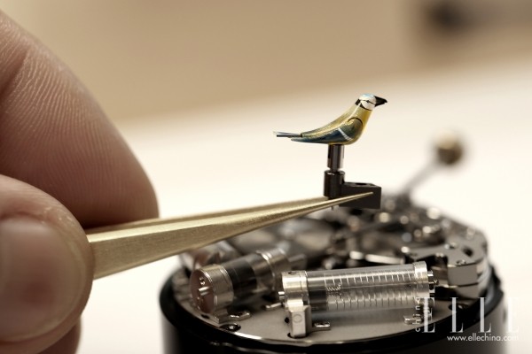 随乐而行新作品,随乐而行