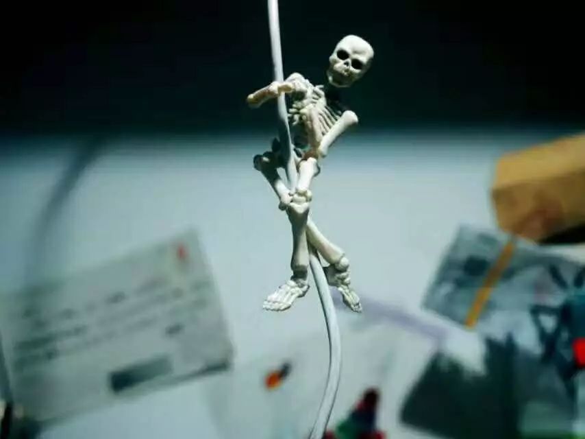 在淘宝上有什么好买的,在淘宝上买的很实惠的东西