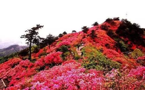 故乡神韵｜古城会理，冬暖夏凉的川滇锁钥