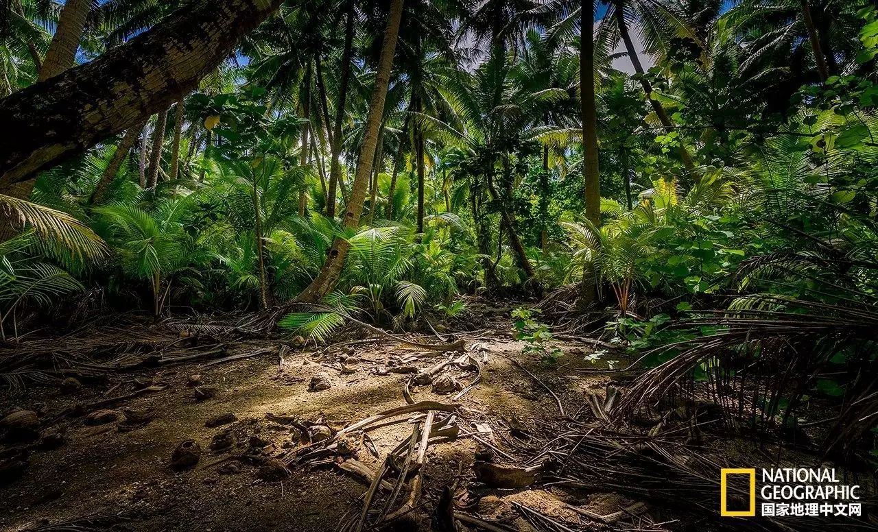 库克群岛的风光,走进库克群岛