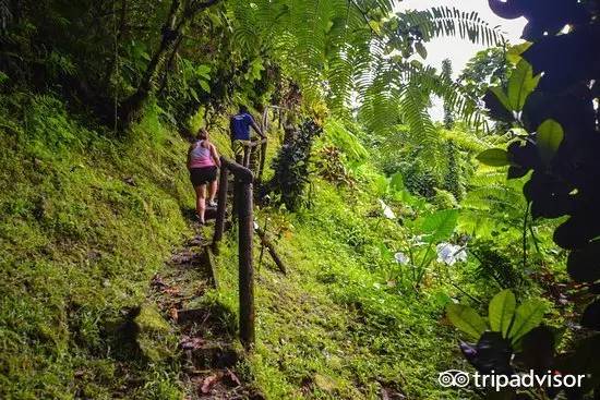 2023十大免签海岛,斐济海岛美景