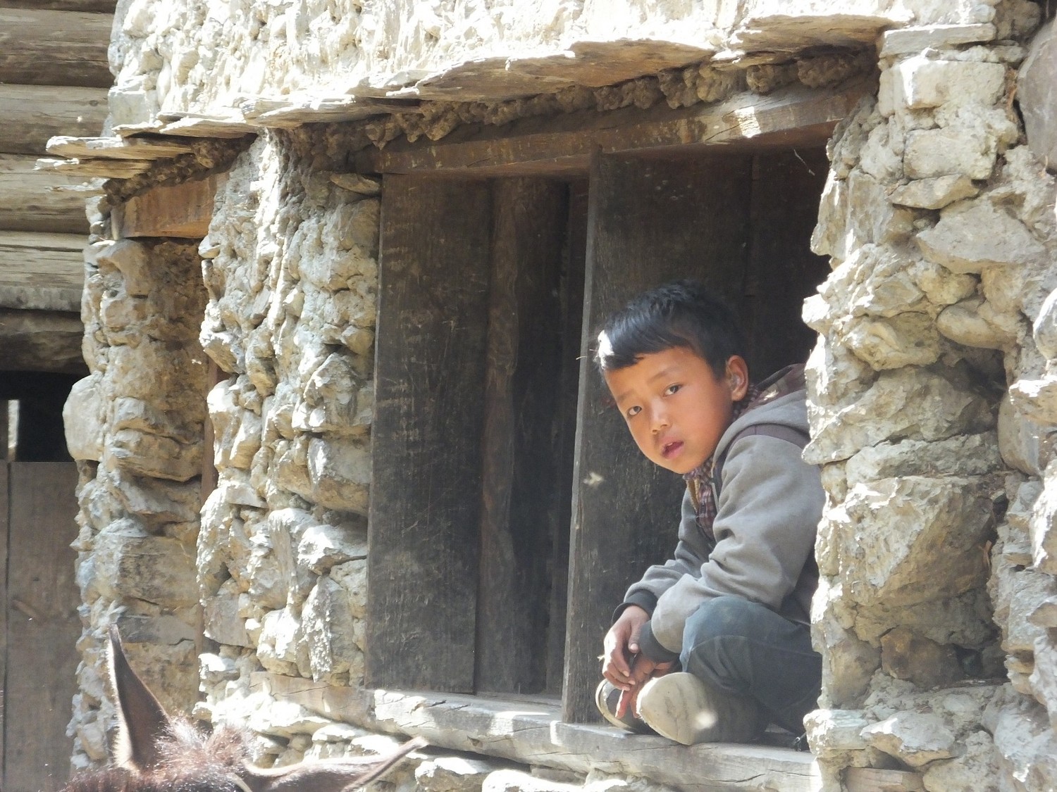 泸亚东线沿途风景,泸亚线穿越原始森林