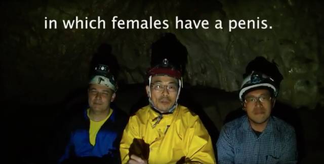 搞笑诺贝尔奖猫咪,关于猫的诺贝尔搞笑奖