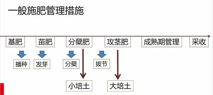 腐植酸钾最稳的产品,一款好的产品