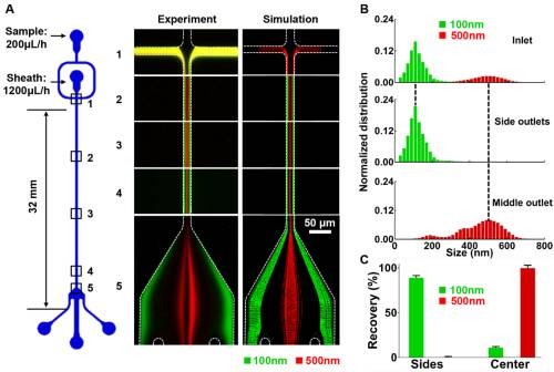 微纳尺度颗粒微流动操控研究取得系列进展