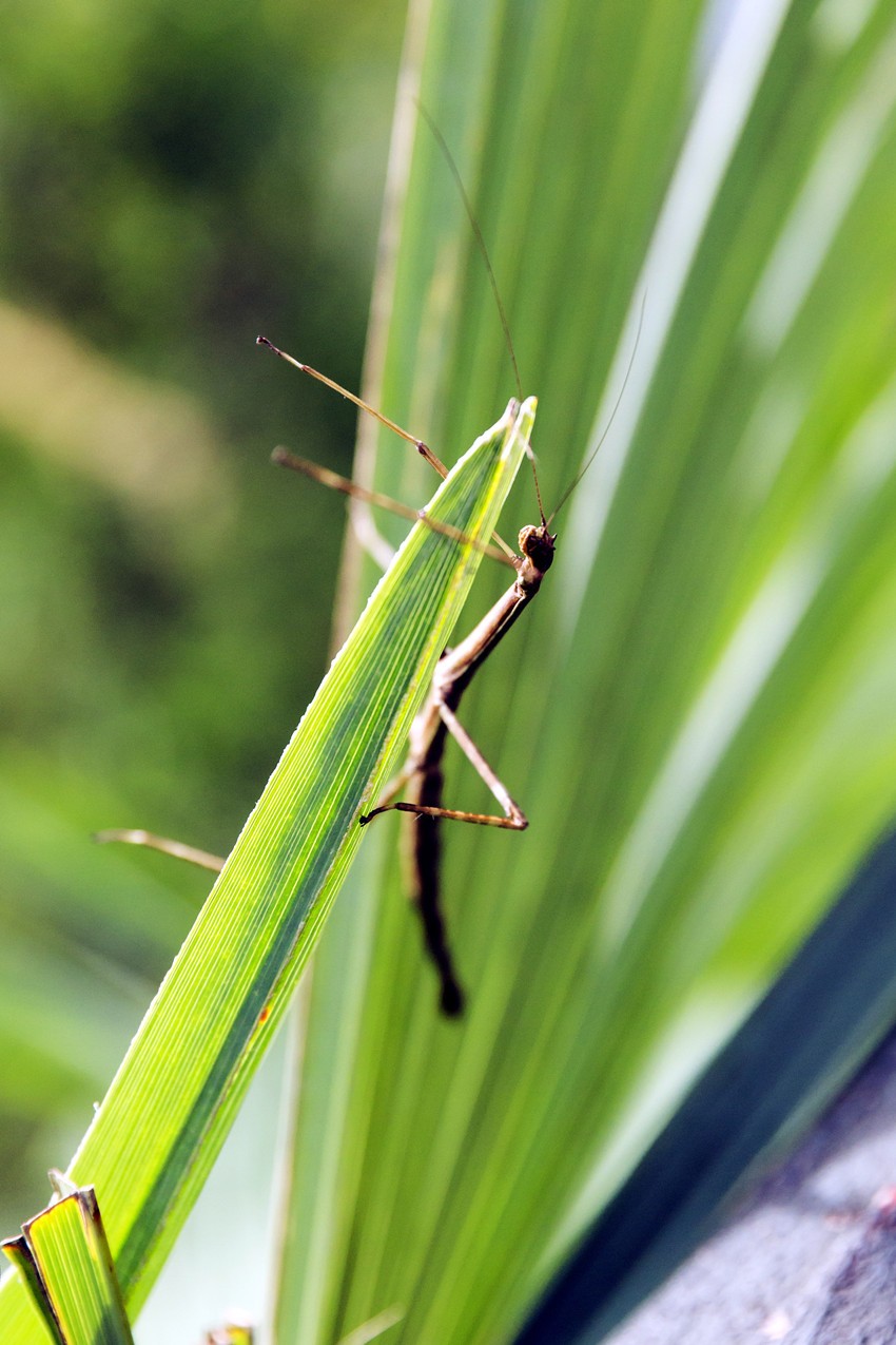 3天2夜!秋日带你去这座绝美山城体验不一样的“慢旅行”!