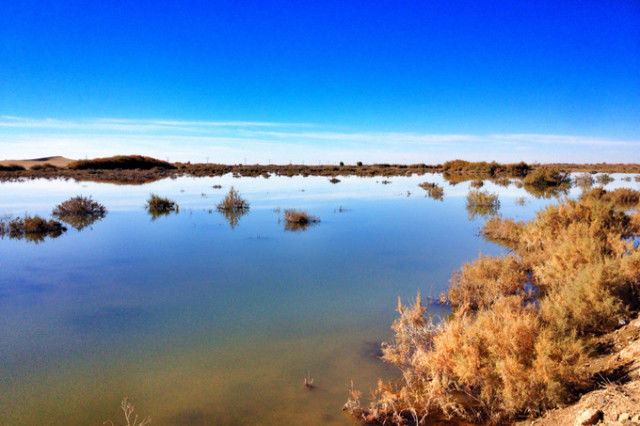国庆额济纳旗旅游攻略,阿拉善国庆节游玩
