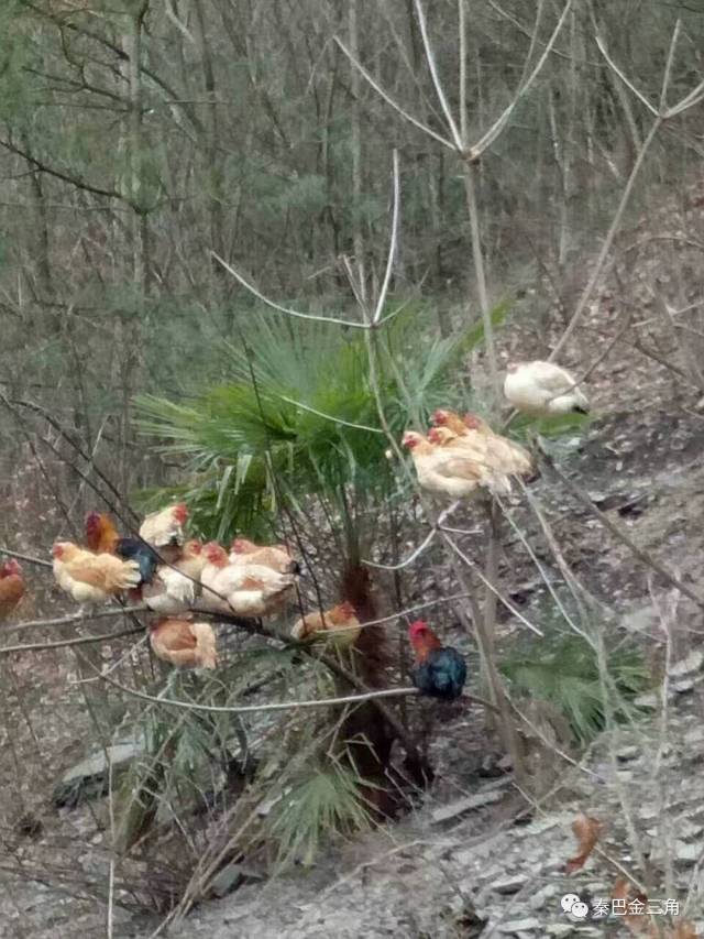 第一次来星级酒店觉得自己老土,星级酒店好进么