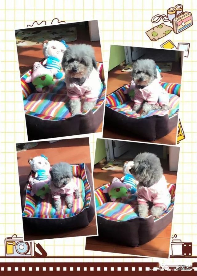 宠爱故事完整版,宠爱背景故事